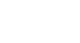 Vector