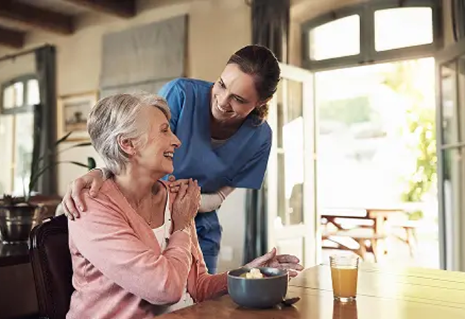 Home Senior Care in Michigan